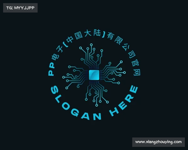 网页版PP电子(中国大陆)有限公司官网
